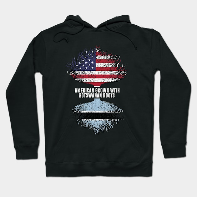 American Grown with botswanan Roots USA Flag Hoodie by silvercoin